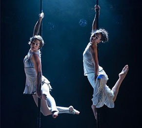 voltigeurs du spectacle des l'Aérien