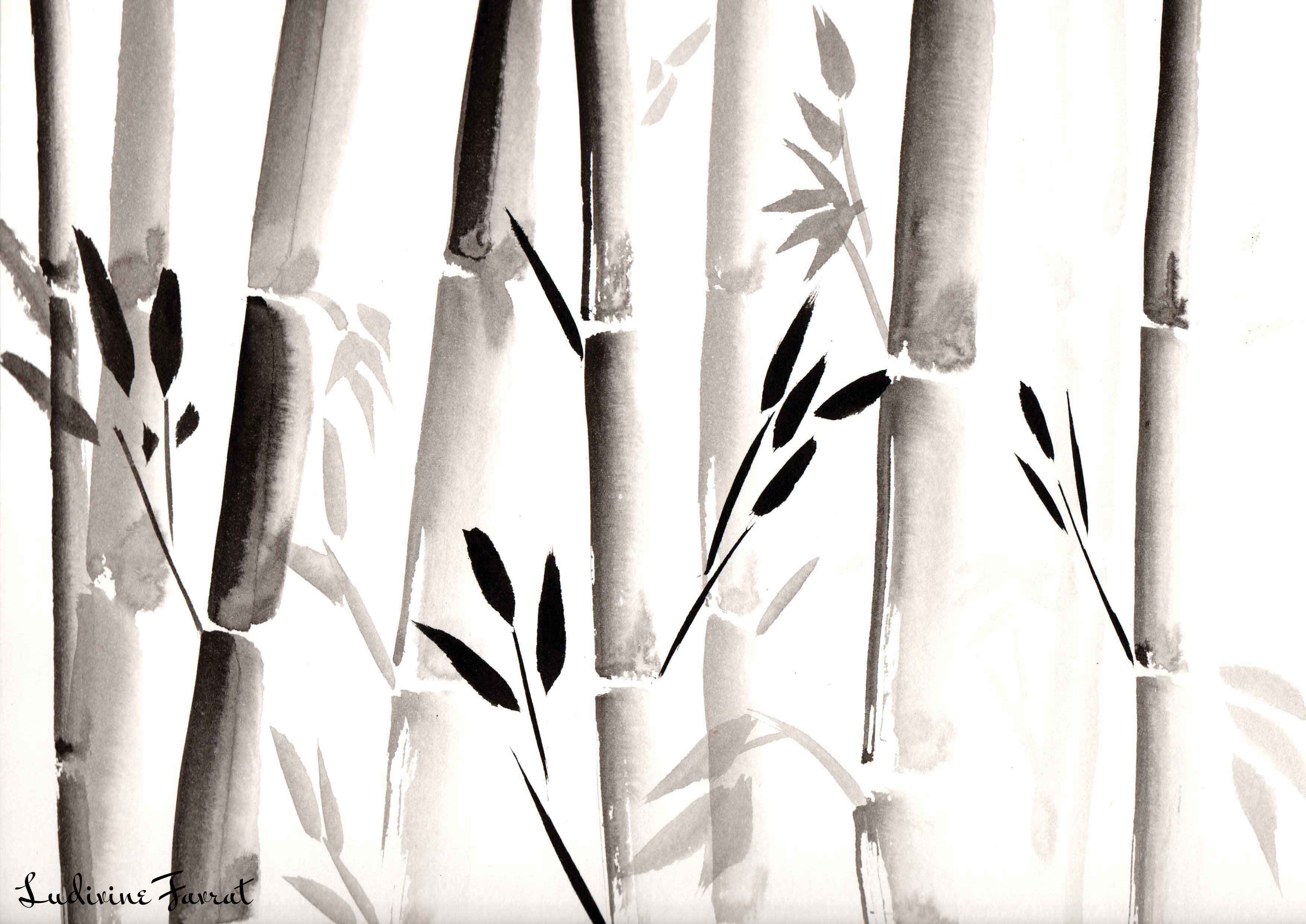 "bambou" à l'encre de chine