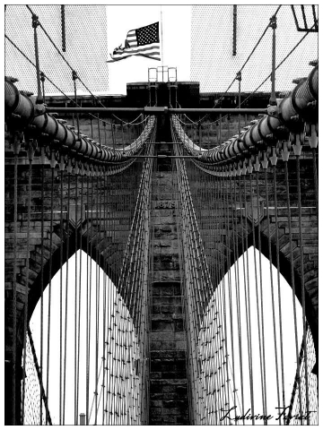 Brooklyn Bridge, NY