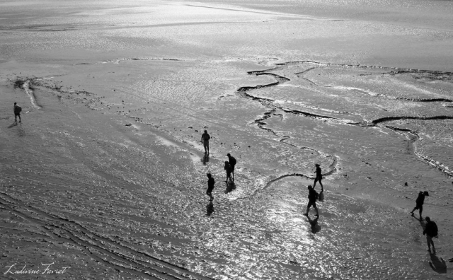 Autour du Mont Saint-Michel